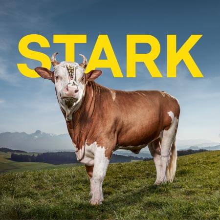 agentur01bern-newsbook-schwingfest-siegermuni