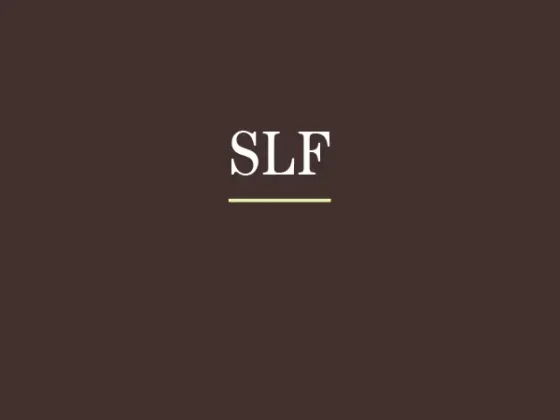 agentur01-slf