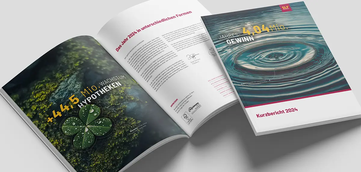 agentur01bern-slf-newsbook-broschuere