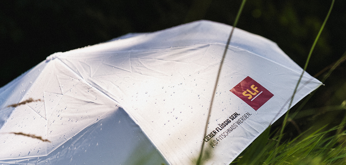 agentur01bern-slf-newsbook-regenschrim