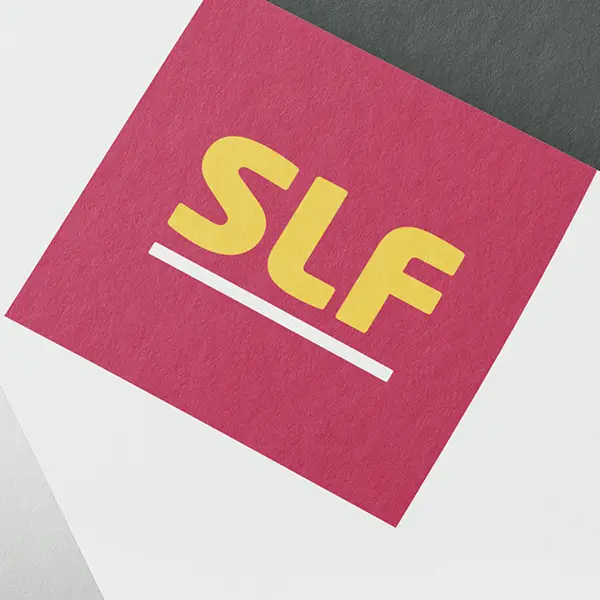 agentur01bern-slf-newsbook-thumnail1