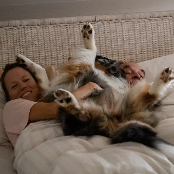 agentur01bern-eev-newsbook-thum