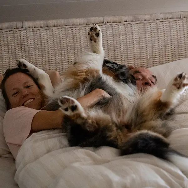 agentur01bern-eev-newsbook-thum