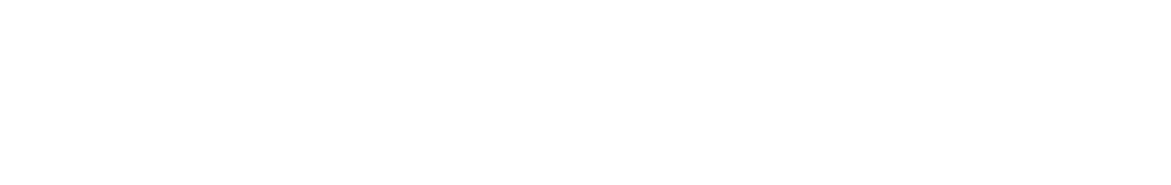 agentur01bern-logo-footer03
